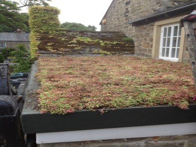 Completed Green Roof with Sedum planting